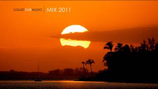 Liquid Dubstep Music  Mix 2011 [upl. by Hankins231]