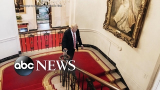 Trump redecorates White House with gold walls chandelier [upl. by Ffilc]