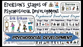 Erik Erikson Stages of Psychosocial Development Theory [upl. by Odlabso]