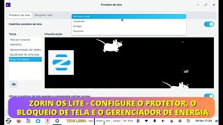 Zorin OS Lite  Configure o Protetor o Bloqueio de Tela e o Gerenciador de Energia [upl. by Ocin]