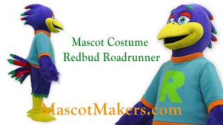 Redbud Roadrunner Mascot Costume for Redbud Elementary School in Edmond OK [upl. by Joell188]