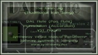 Pan Flute Audio Unit VST VST3 The Kesh Jig feat DAL Flute amp Woodwinds Harmodion Accordion [upl. by Shep555]