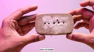 Concrete incense stick holder tutorial video  Amazing DIY ideas with cement [upl. by Balcke]