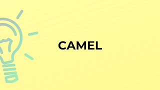 What is the meaning of the word CAMEL [upl. by Ecart]