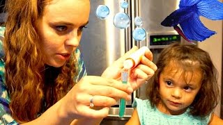 FISH TANK EXPERIMENT  Toddler Learns Water Chemistry [upl. by Lener]