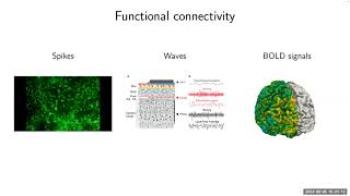 Panel Brain Behavior and Synchronization [upl. by Gannon418]