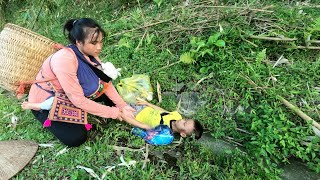 Single Mother Ly Tieu My adopts an orphan boy amp Harvests grapefruits to sell [upl. by Robillard]