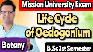 Life Cycle of Oedogonium bedkdian bsc1stsemester mjpru botany [upl. by Eimak]