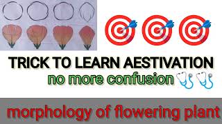 aestivation trick  trick to learn aestivation  morphology of flowering plant trick [upl. by Crellen]