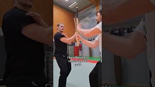 Filipino Martial Arts reaction test Part 2 by Dennis Kempo fma escrima filipinomartialarts [upl. by Nanah]