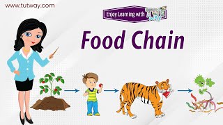 What is a Food Chain  Food Chain for Kids  Habitat Producers Consumers Decomposers  Science [upl. by Severen]