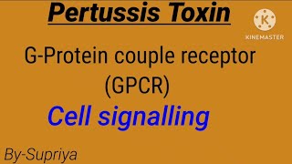 Pertussis Toxin  GPCR  Cell signalling  life science [upl. by Oedama]