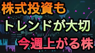 （デイトレ）2024年11月5日〜銘柄検討 [upl. by Anaujnas]