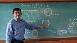 Recombinant DNA Technology cl XII CBSE and IP [upl. by Giulio22]