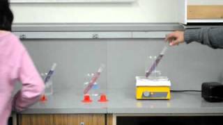 LeChatelier demo  cobalt chloride color changes as temp changes  Part 2 [upl. by Igor]