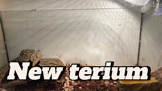 New terium for my turtles🐢 [upl. by Clement]