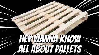 All You Need To Know About Pallets palletwoodcamper [upl. by Aicilat]