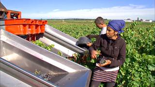 Southern Rhone Valley Discovering the Greatest French Wines [upl. by Icnan]