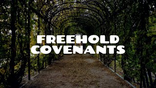 Introduction to Freehold Covenants Part 1  Land Law [upl. by Querida486]