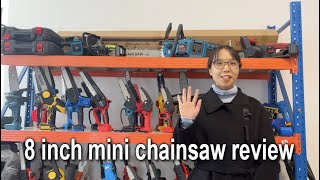 Mini Chainsaw Cordless 8 inch Review 2024 [upl. by Sauncho15]