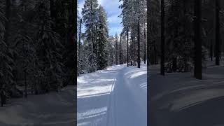 Crosscountry sking in PyhäLuosto National Park [upl. by Aihn509]