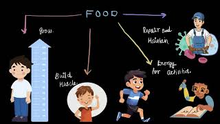 Introduction to Nutrients  Middle School Science  Khan Academy [upl. by Eetsud903]