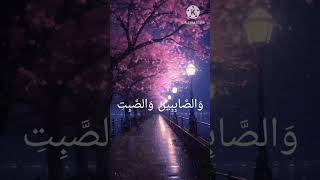 June 20 2024 surah Al Ahzaabbeautiful recitationshorts viralshorts [upl. by Hgalehs]