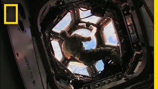 Innovation on the ISS  National Geographic [upl. by Dnomyar]