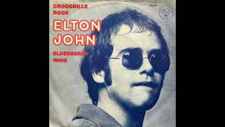 Elton John  Crocodile Rock [upl. by Nuarb]