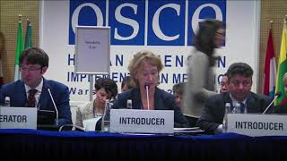 2017 HDIM Working Session 10 [upl. by Uhile]