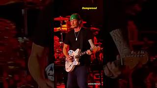 Blink 182  Dumpweed Live 2024 [upl. by Susette]