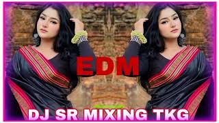 Tal se tal Mila EDM ❌ MIX DJ SR MIXING TKG DJ ASHISH BACHRON DJ SAGAR RATH [upl. by Alonso]