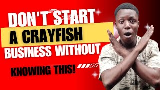 how to start crayfish business in Nigeria [upl. by Emelin]