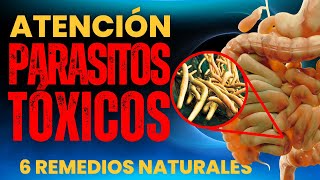 🚨PARÁSITOS INTESTINALES Las Señales OCULTAS y Cómo Eliminarlos con MÉTODOS NATURALES 🌱 [upl. by Ame]