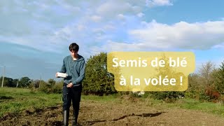 Le semis de Blé à la volée [upl. by Iruyas]