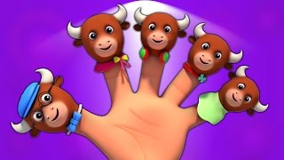 Быки Палец Семья  детский стишок  Kids Rhymes  Music For Babies  Kids Song  Bulls Finger Family [upl. by Burn755]