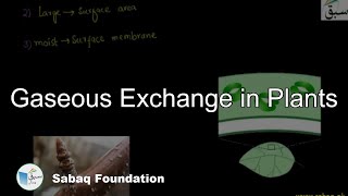 Gaseous Exchange in Plants Biology Lecture  Sabaqpk [upl. by Blanc]