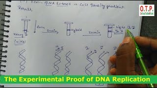 The Experimental Proof of DNA Replication by Meselson and Stahl experiment in hindi [upl. by Tare]