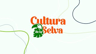 Cultura de la Selva  Propuesta Cultural de Diseñadores Textiles de Misiones [upl. by Dyraj]