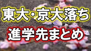 【超リアル】東大・京大に落ちた受験生の進学先を本気でまとめてみた [upl. by Johen]