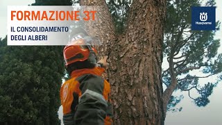 Husqvarna e Formazione 3t  Il Consolidamento degli Alberi [upl. by Lalitta]