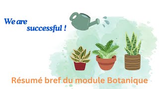 Petit résumé du module botanique Deuxième année SNV [upl. by Ayita]