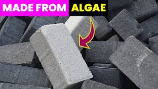 EcoFriendly Cement Made from Algae  Future Technology amp Science News 183 [upl. by Annyl929]