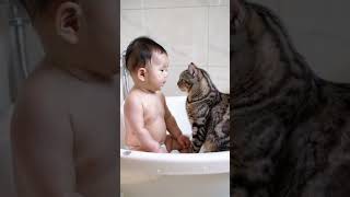 Cat and child take a bath together [upl. by Menard45]