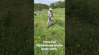 Mowing with a 70cm Fux Gartensense Scythe Blade [upl. by Grunenwald]