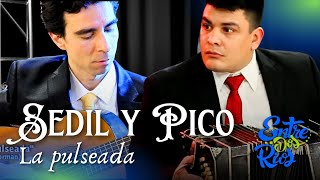 SEDIL TOLEDO Y PICO RUBIO quotLA PULSEADAquot [upl. by Monahon]