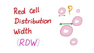 Red Cell Distribution Width RDW  What Does This Lab Test REALLY Mean [upl. by Leveridge225]