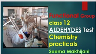 Organic Functional group test for Aldehyde Tollens and Fehlings Class 12 by Seema Makhijani [upl. by Goldfinch]