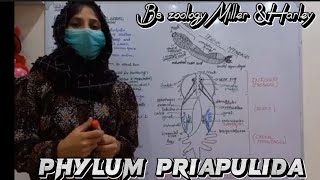 Phlum Priapulida  Penis worms  Body form  Digestive system  Reproductive system  BsZoology [upl. by Bee]