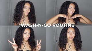 LOW POROSITY CURLY HAIR ROUTINE How To Achieve MOISTURE and DEFINITION Beginner Friendly [upl. by Ardnuahs]